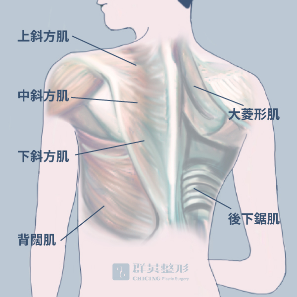 侯憲棋醫師_OMG 水牛坐了我的肩
