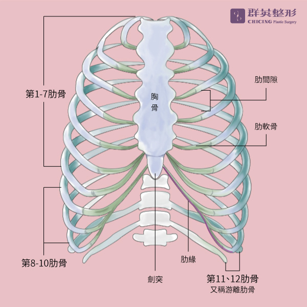 群英陳彥州醫師_肋骨手術_整形外科02